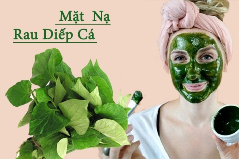 cách điều trị mụn bằng rau diếp cá